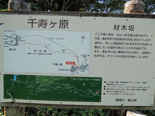 DSCN2619.jpg