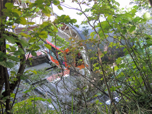 DSCN2624.jpg