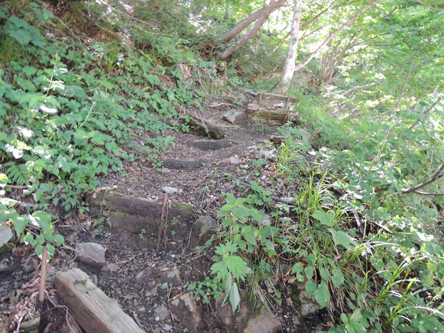 DSCN2626.jpg