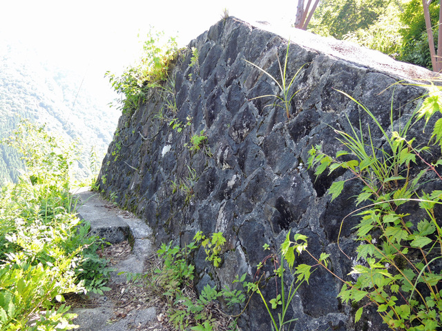 DSCN2636.jpg
