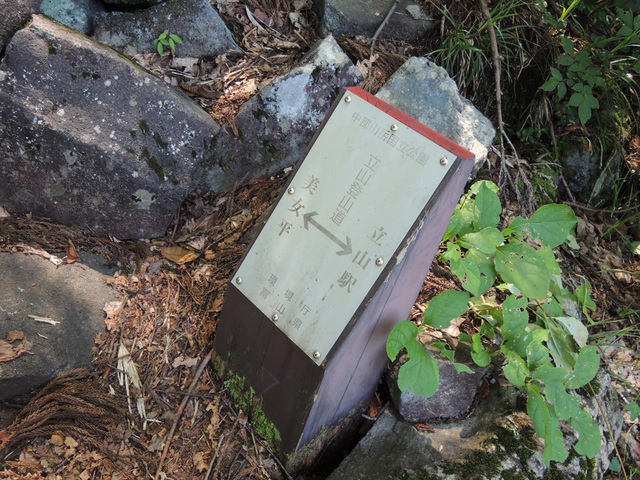 DSCN2645.jpg