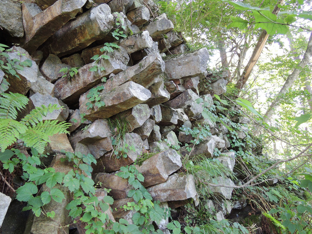 DSCN2646.jpg