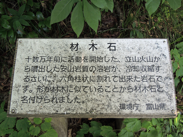 DSCN2650.jpg
