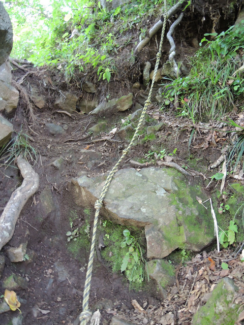 DSCN2651.jpg