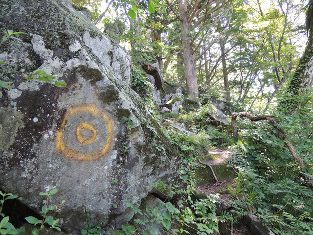 DSCN2653.jpg