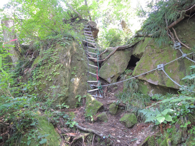 DSCN2660.jpg