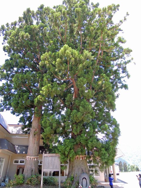 DSCN2676.jpg