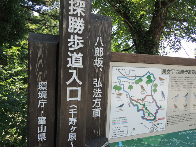 DSCN2686.jpg