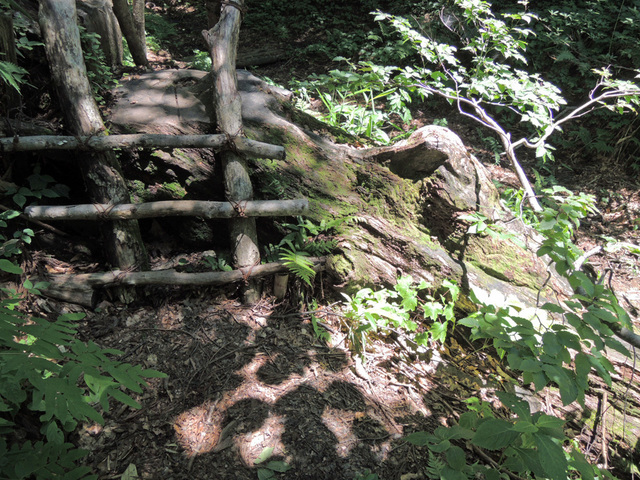 DSCN2688.jpg