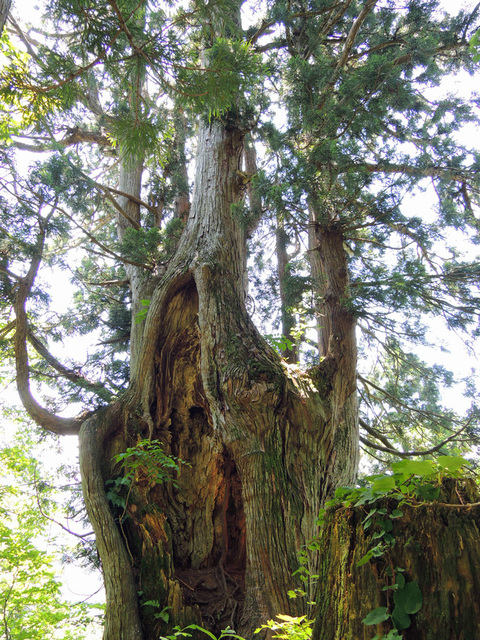 DSCN2691.jpg