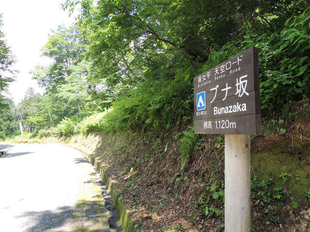 DSCN2708.jpg