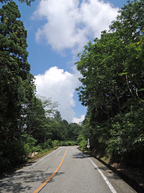 DSCN2719.jpg