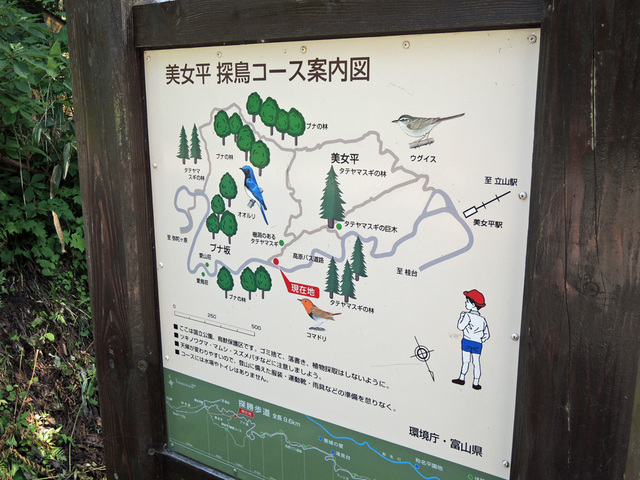 DSCN2721.jpg
