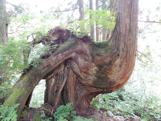 DSCN2731.jpg