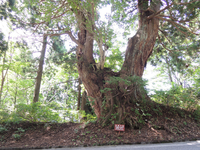 DSCN2745.jpg